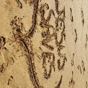 Meet your Posher, Dwayne